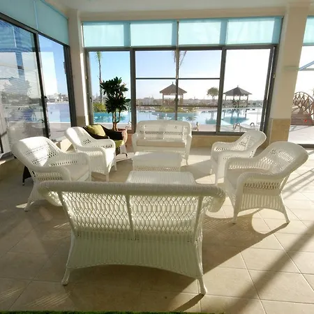 In Olive Apartment *